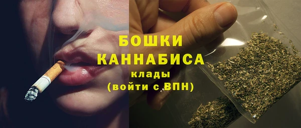 дмт Лиски
