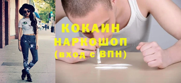 дмт Лиски