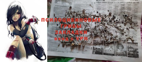 винт Липки