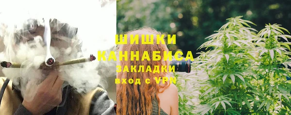 винт Липки
