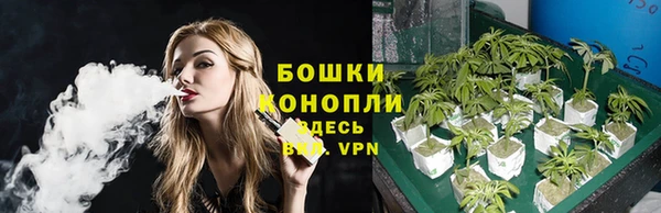 дмт Лиски