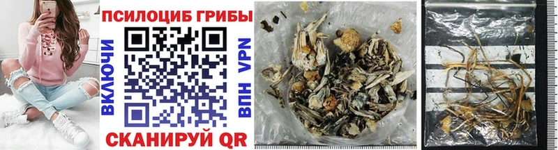 Псилоцибиновые грибы Psilocybine cubensis  дарк нет формула  Абакан  купить  