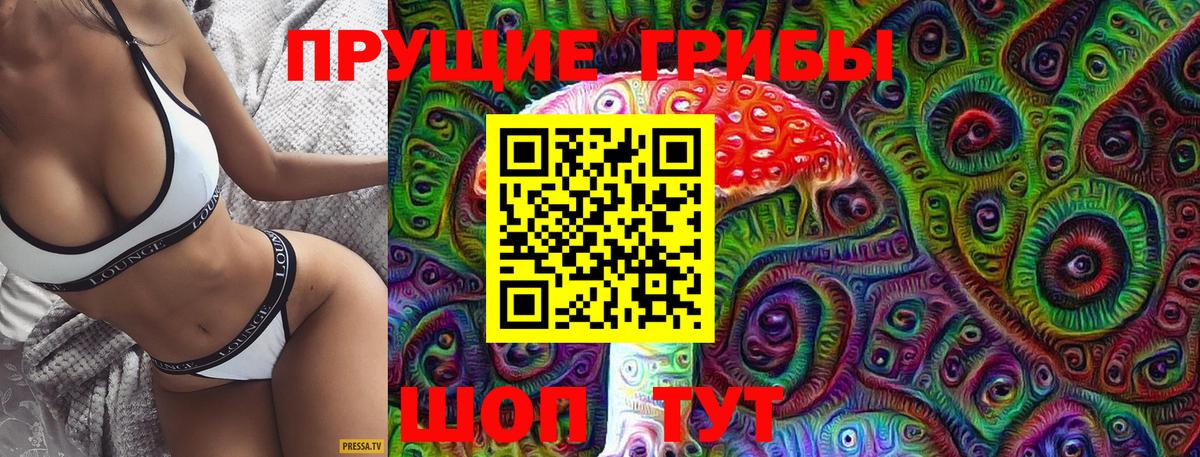 продажа наркотиков  Абакан  Псилоцибиновые грибы Cubensis 