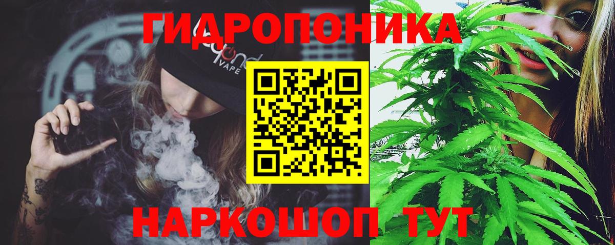 Конопля семена  Вход с VPN  Абакан  Шишки марихуана VHQ  Марихуана White Widow  Марихуана SATIVA & INDICA 